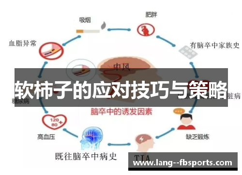 软柿子的应对技巧与策略 软柿子的应对技巧与策略
