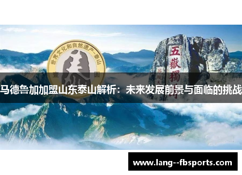 马德鲁加加盟山东泰山解析：未来发展前景与面临的挑战